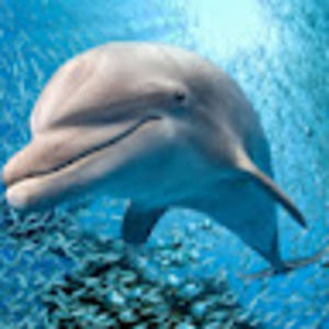 Meet your Posher, Imane